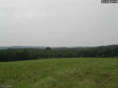 201 Spring Rd, Minerva, OH 44657 photo 18