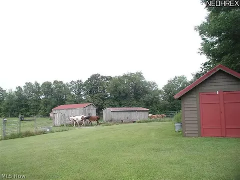201 Spring Rd, Minerva, OH 44657 photo 15