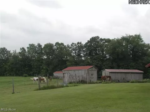 201 Spring Rd, Minerva, OH 44657 photo 16