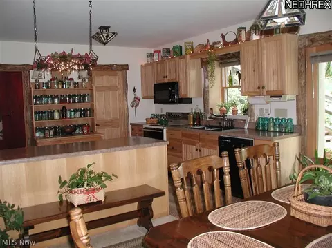 201 Spring Rd, Minerva, OH 44657 photo 9