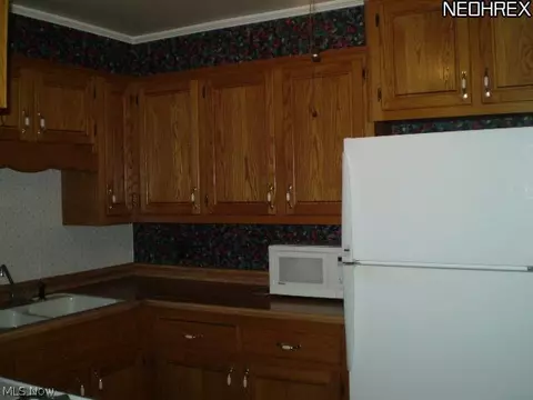 3941 Sylvia Ln, Youngstown, OH 44511 photo 6