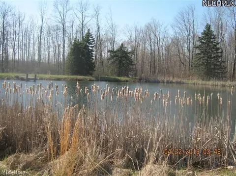 6809 New London, Saybrook, OH 44004 photo 19