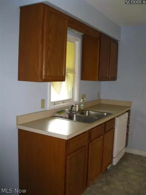 809 Mohawk Ave, Akron, OH 44305 photo 7