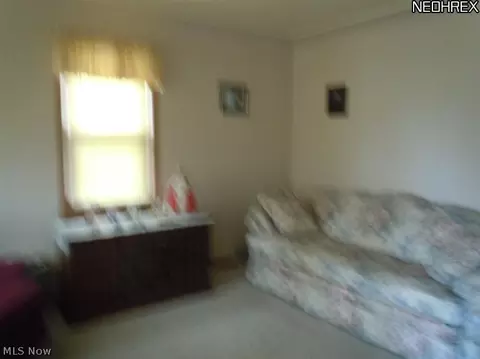 564 Maplewood Ave, Struthers, OH 44471 photo 5