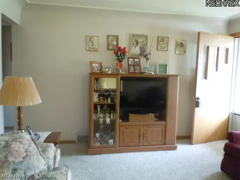 564 Maplewood Ave, Struthers, OH 44471 photo 4