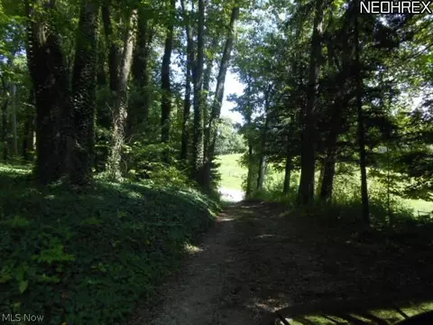 9220 Jamison Rd, Lodi, OH 44254 photo 3