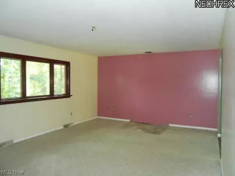 9220 Jamison Rd, Lodi, OH 44254 photo 9