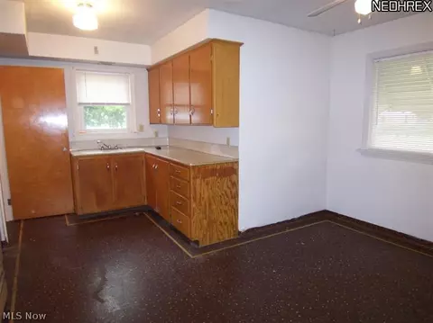 727 Union Ave, Ashtabula, OH 44004 photo 5