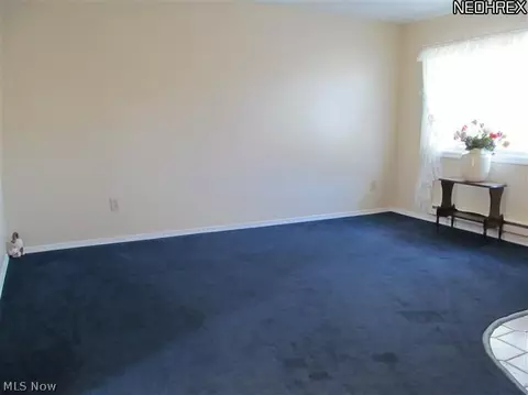 10192 Dewhurst Rd, Elyria, OH 44035 photo 18