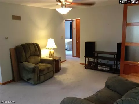 864 Kickapoo Ave, Akron, OH 44305 photo 10