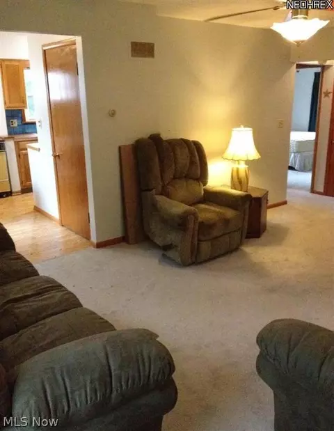 864 Kickapoo Ave, Akron, OH 44305 photo 13