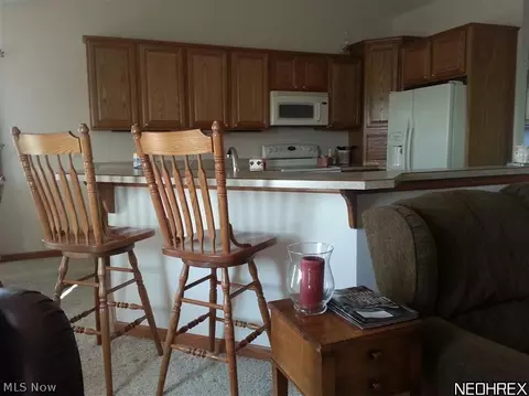 37950 Applegate Rd, Lisbon, OH 44432 photo 6