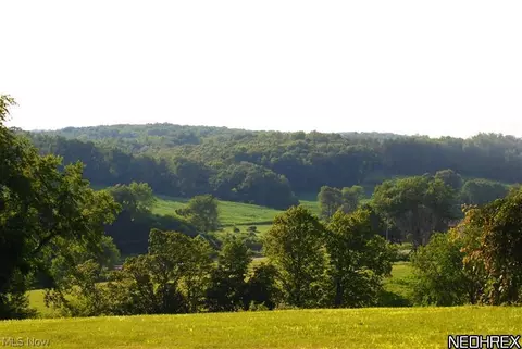 37950 Applegate Rd, Lisbon, OH 44432 photo 21