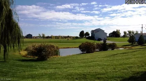 2695 Snyder Rd, Willard, OH 44890 photo 4