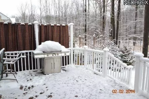 3703 Firethorn Dr, Aurora, OH 44202 photo 23