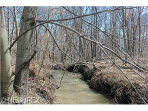 4196 Middle Ridge Rd, Perry, OH 44081 photo 1