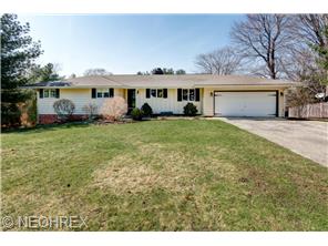 10482 Stuart Dr, Painesville, OH 44077 photo 1