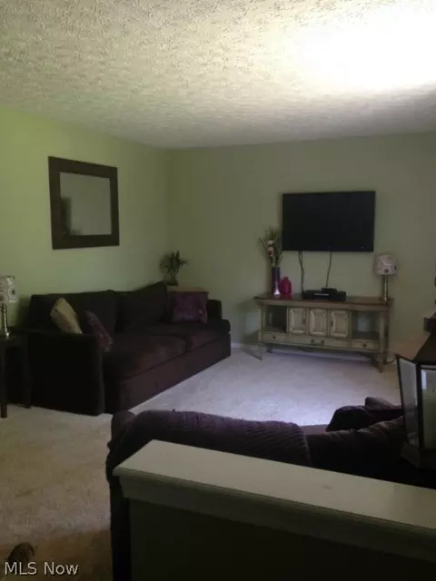 368 Naples Dr, Elyria, OH 44035 photo 13