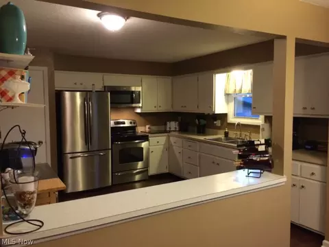 125 Harmon Ct, Lagrange, OH 44050 photo 2
