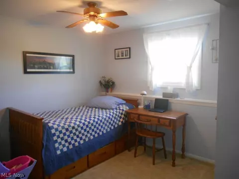 125 Harmon Ct, Lagrange, OH 44050 photo 12