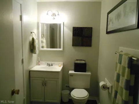 125 Harmon Ct, Lagrange, OH 44050 photo 13
