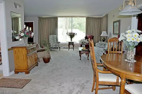 1008 N Pasadena Ave, Elyria, OH 44035 photo 4