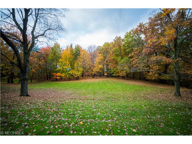 8440 W Pleasant Vly, Parma, OH 44130 photo 13