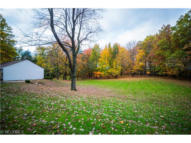 8440 W Pleasant Vly, Parma, OH 44130 photo 14