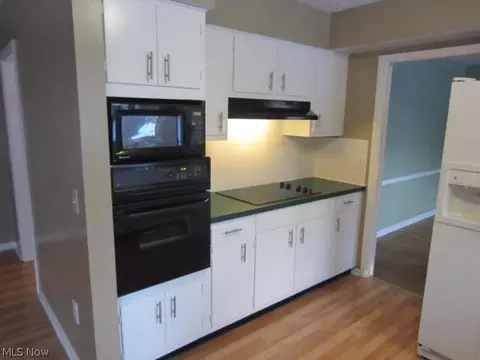 321 Hamilton Cir, Elyria, OH 44035 photo 9
