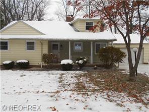 305 E 320th St, Eastlake, OH 44095 photo 1