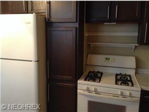 116 Euclid Ave, Minerva, OH 44657 photo 4
