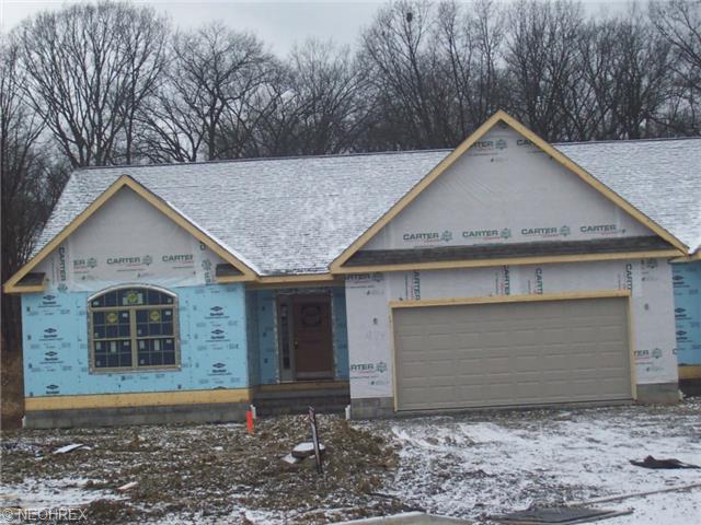 974 Park Pl, Niles, OH 44446 photo 1