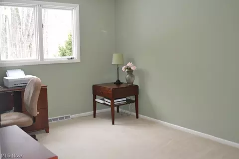 8684 E Craig Dr, Chagrin Falls, OH 44023 photo 15