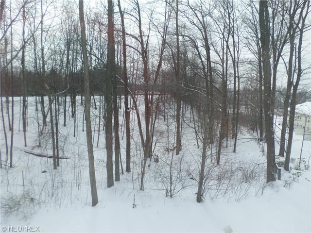 4002 Gardiner Run, Copley, OH 44321 photo 23