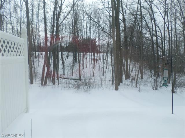 4002 Gardiner Run, Copley, OH 44321 photo 24