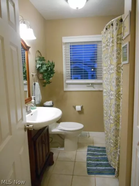 319 Prospect St, Lagrange, OH 44050 photo 13