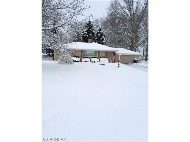 9985 Rosemere St, Elyria, OH 44035 photo 1