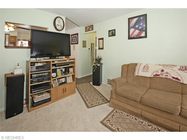 622 Cornell Ave, Elyria, OH 44035 photo 6