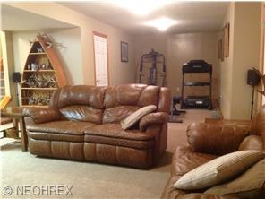 41290 Mills Cir, Lagrange, OH 44050 photo 2