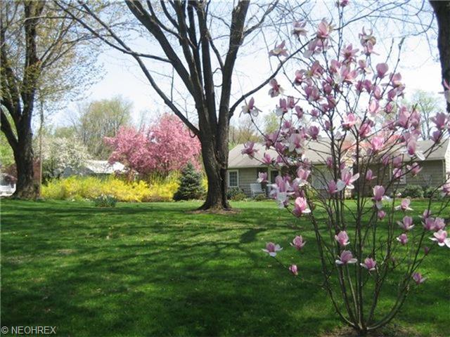 303 Bittersweet Rd, Akron, OH 44333 photo 20