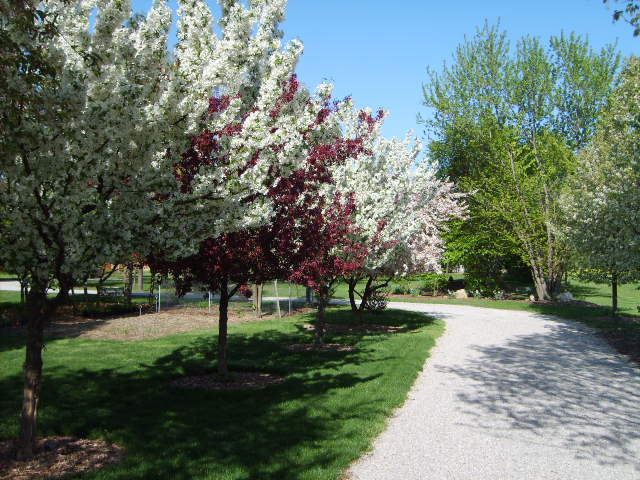4047 Case Rd, Avon, OH 44011 photo 10