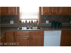 47 Perch Ct, Lagrange, OH 44050 photo 1