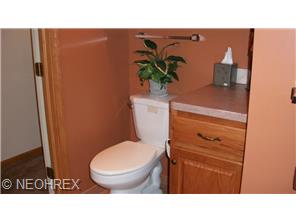 47 Perch Ct, Lagrange, OH 44050 photo 6