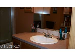 47 Perch Ct, Lagrange, OH 44050 photo 5