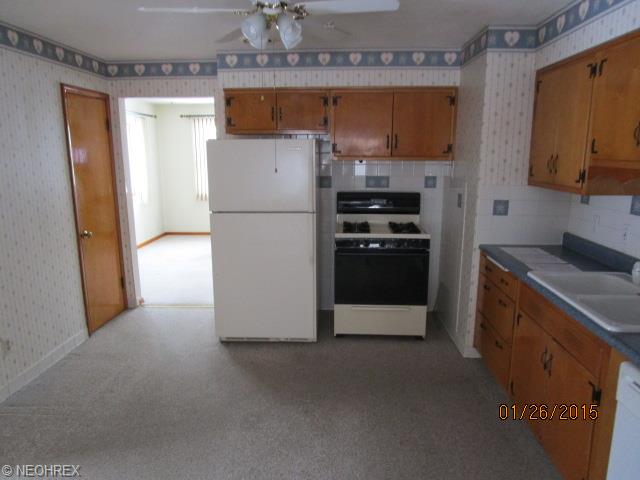 310 Beebe Ave, Elyria, OH 44035 photo 10