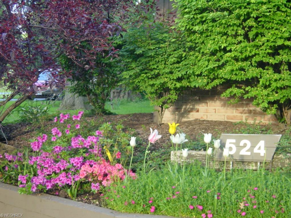 524 E Acadia Pt, Aurora, OH 44202 photo 21