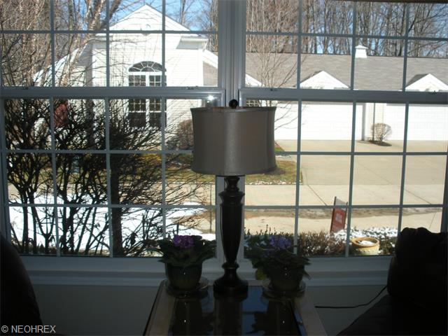 8980 Village Ct, Olmsted Falls, OH 44138 photo 20