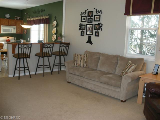 8980 Village Ct, Olmsted Falls, OH 44138 photo 4