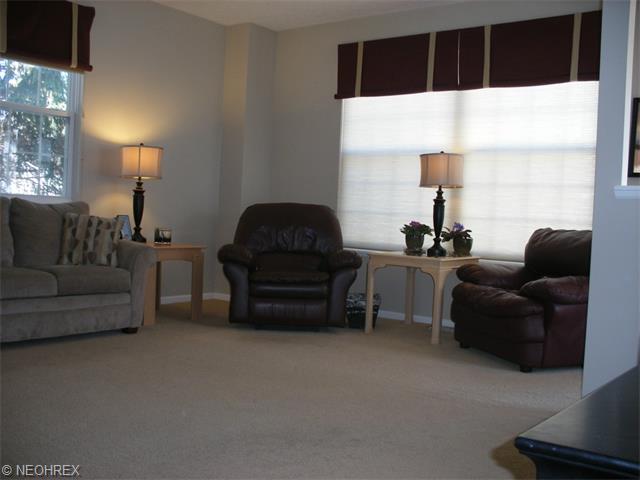 8980 Village Ct, Olmsted Falls, OH 44138 photo 6