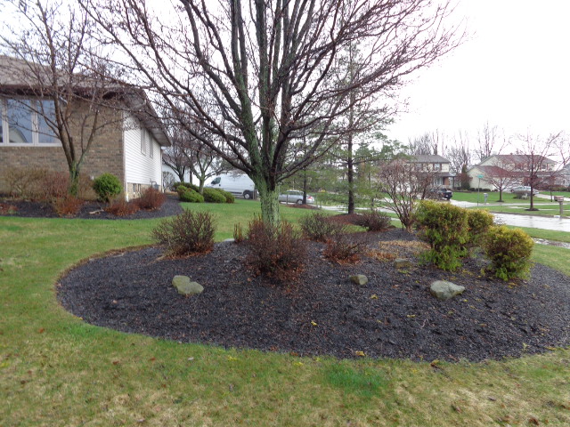 4317 Pine Forest Dr, Parma, OH 44134 photo 3